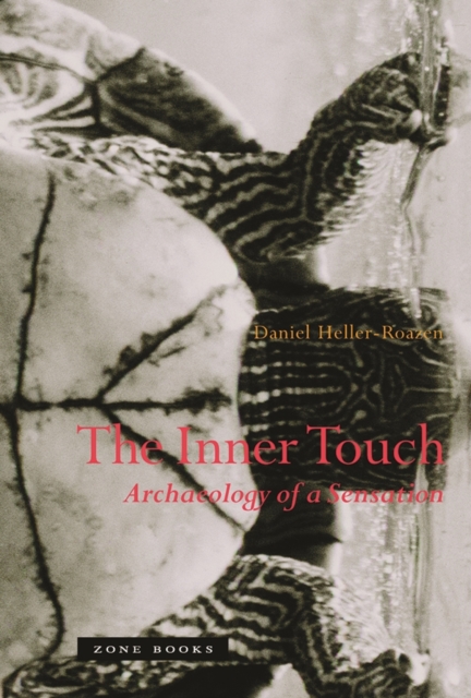 The Inner Touch : Archaeology of a Sensation, Hardback Book