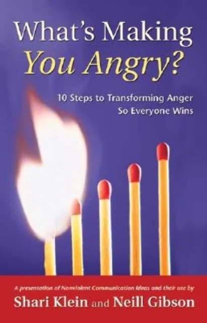 What's Making You Angry? : 10 Steps to Transforming Anger So Everyone Wins, Paperback / softback Book