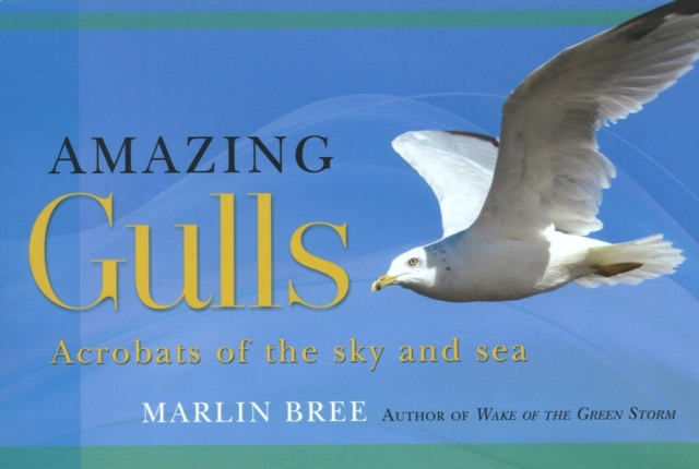 Amazing Gulls : Acrobats of the Sky and Sea, Paperback / softback Book