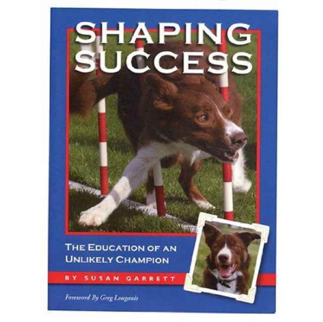 Shaping Success, Paperback / softback Book