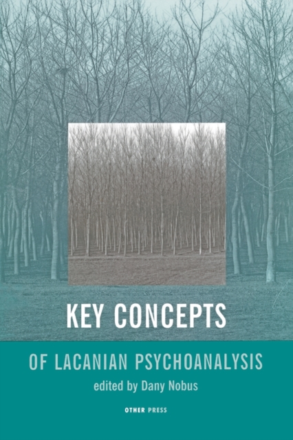 Key Concepts of Lacanian Psychotherapy : The Other Press, 377 W 11th Street, New York, NY, Us, Paperback Book