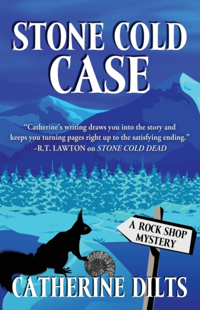 Stone Cold Case, Paperback / softback Book