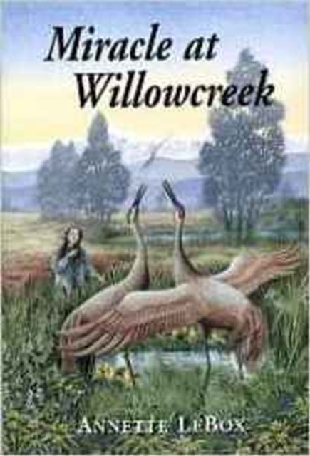 Miracle at Willowcreek, Paperback / softback Book