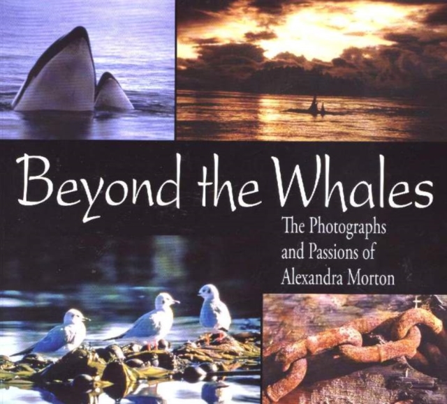 Beyond the Whales : The Photographs and Passions of Alexandra Morton, Paperback / softback Book