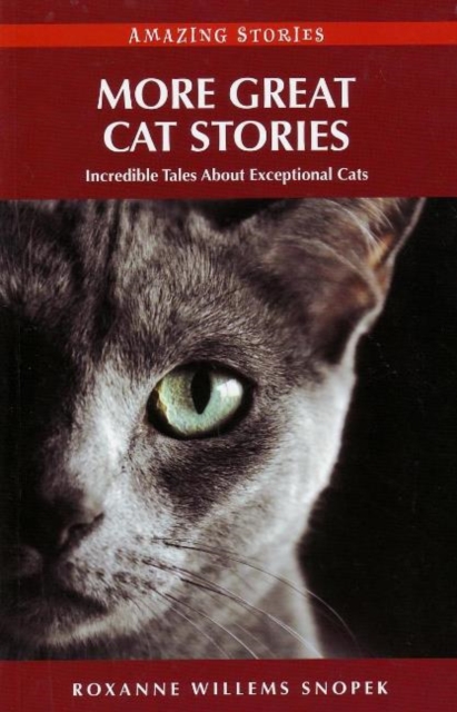 More Great Cat Stories : Incredible Tales About Exceptional Cats, Paperback / softback Book