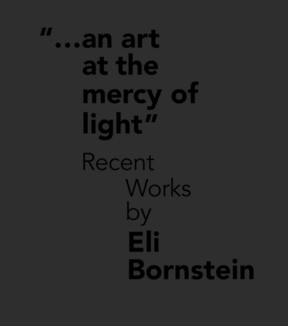 An Art at the Mercy of Light : Recent Works by Eli Bornstein, Paperback Book