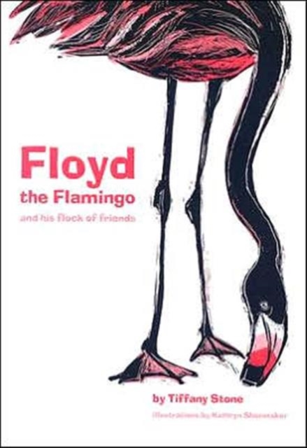 Floyd The Flamingo And His Flock Of Friends, Paperback / softback Book