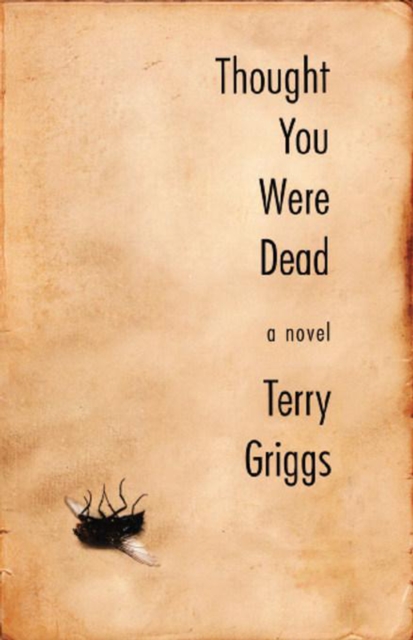 Thought You Were Dead : A Novel, Paperback / softback Book