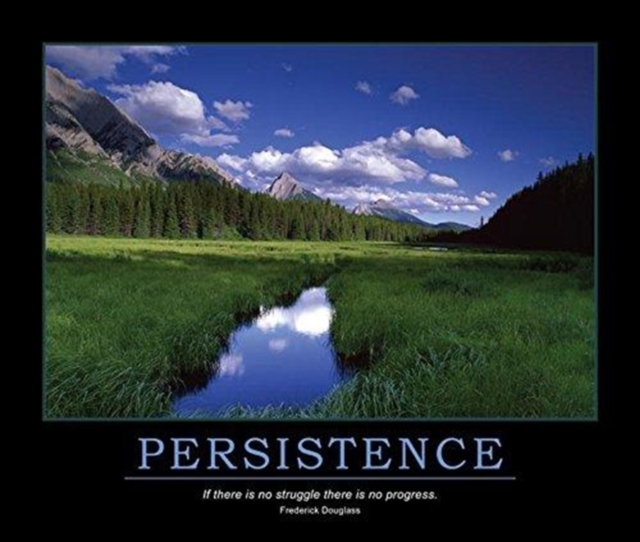Persistence Poster, Book Book
