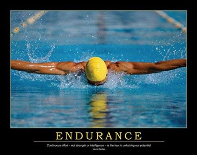 Endurance Poster, Book Book