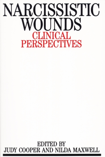 Narcissistic Wounds : Clincal Perspectives, Paperback / softback Book