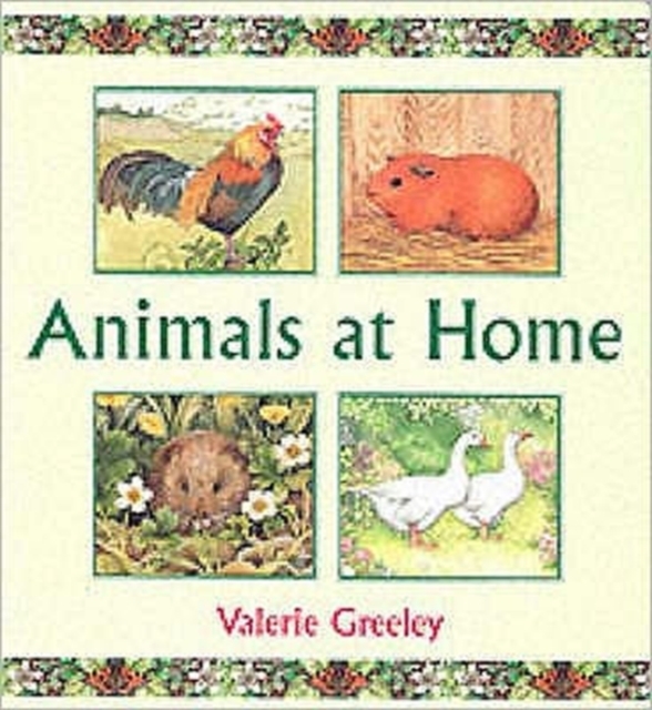 Animals at Home, Hardback Book