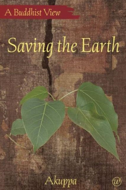 Saving the Earth, Paperback / softback Book