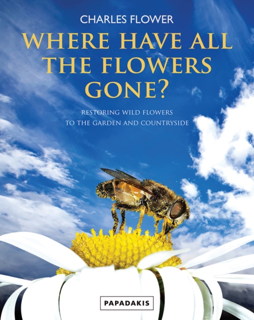 Where Have All the Flowers Gone? : Restoring Wild Flowers to the Countryside, Paperback / softback Book