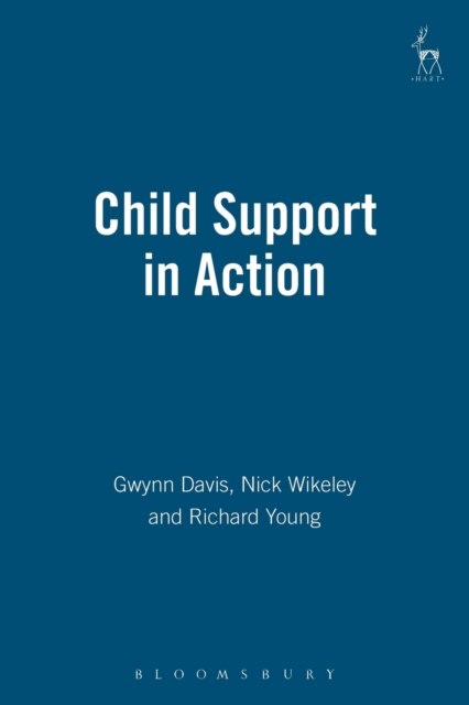 Child Support in Action, Paperback / softback Book