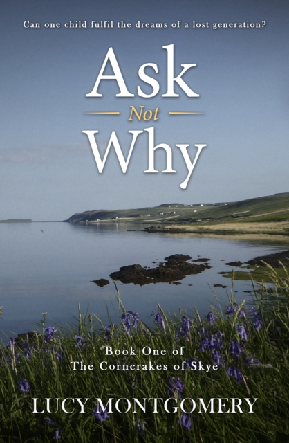 Ask Not Why : Can one child fulfil the dreams of a lost generation?, Paperback / softback Book