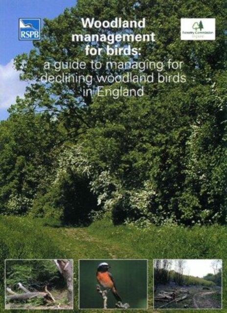 Woodland Management for Birds : A Guide to Managing for Declining Woodland Birds in England, Paperback / softback Book