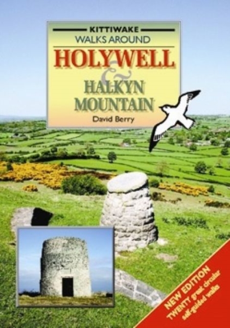 Walking Around Holywell and Halkyn Mountain, Paperback / softback Book