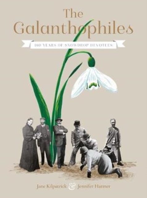 The Galanthophiles : 160 Years of Snowdrop Devotees, Hardback Book