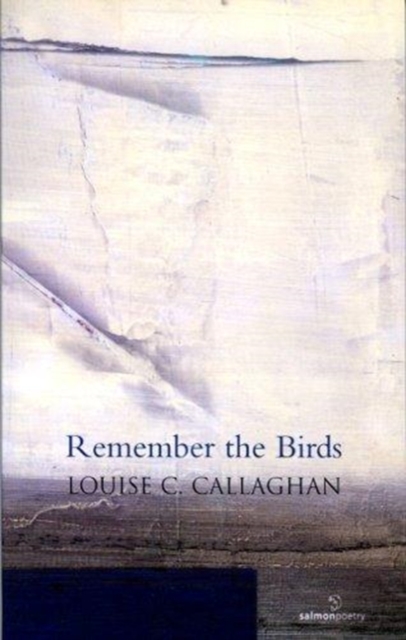 Remember the Birds, Paperback / softback Book