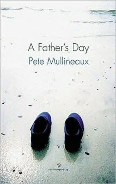 A Father's Day, Paperback / softback Book