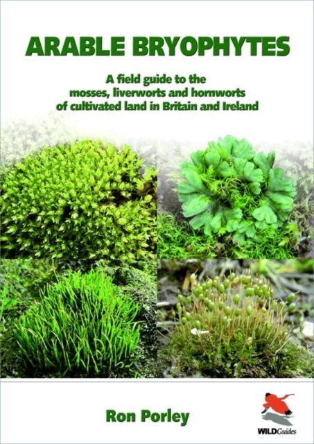 Arable Bryophytes - A Field Guide to the Mosses, Liverworts, and Hornworts of Cultivated Land in Britain and Ireland, Paperback / softback Book