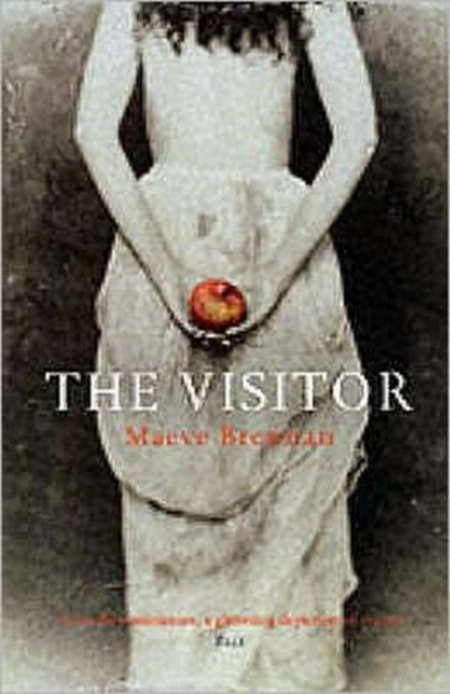 The Visitor, Paperback / softback Book