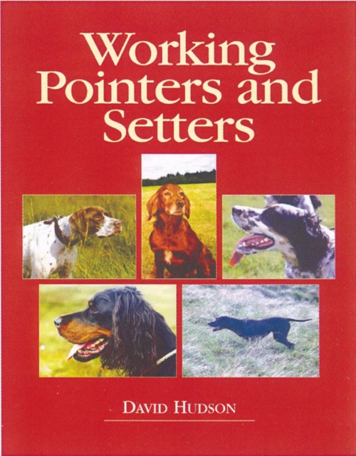 Working Pointers and Setters, Hardback Book