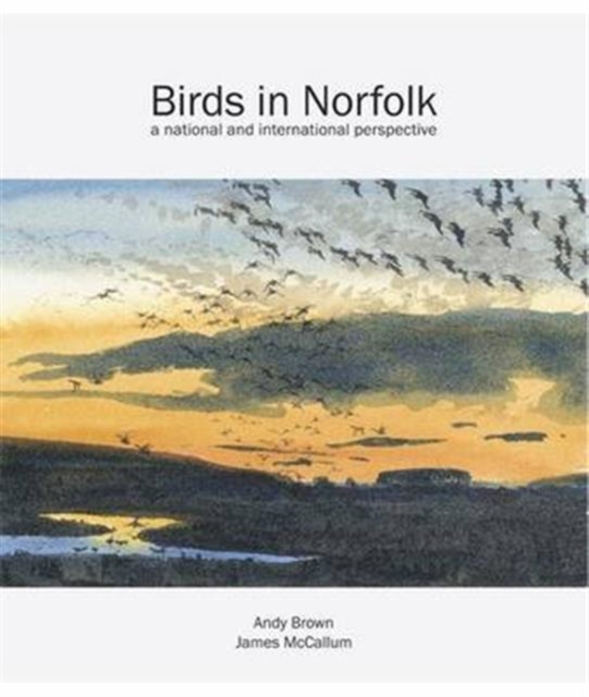 Birds in Norfolk : A National and International Perspective, Hardback Book