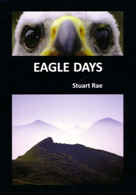 Eagle Days, Paperback / softback Book