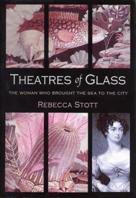 Theatres of Glass, Hardback Book