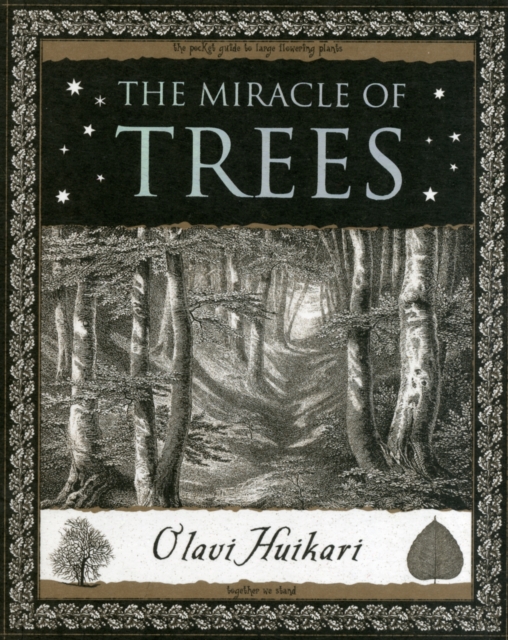 The Miracle of Trees, Paperback / softback Book