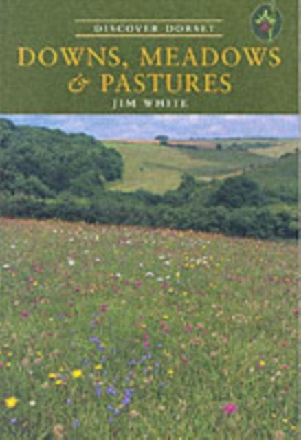 Downs, Meadows and Pastures, Paperback / softback Book
