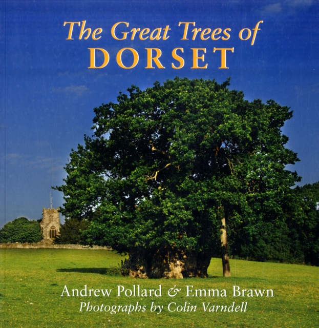 The Great Trees of Dorset, Paperback / softback Book