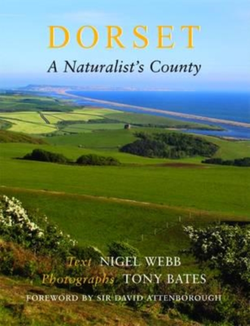 Dorset, a Naturalist's County, Paperback / softback Book