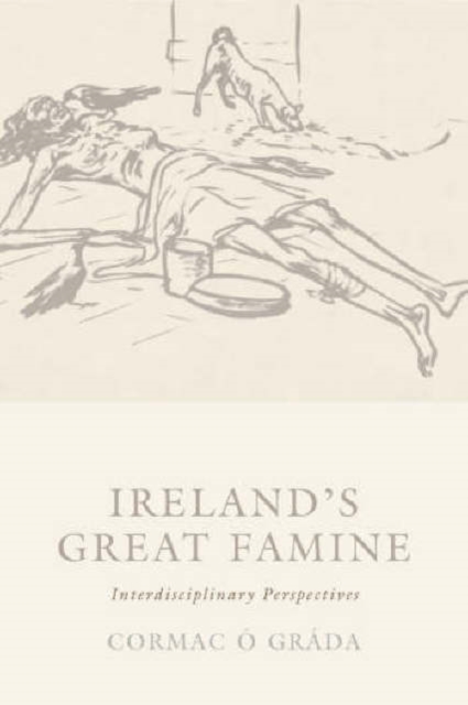 Ireland's Great Famine : Interdisciplinary Essays, Paperback / softback Book