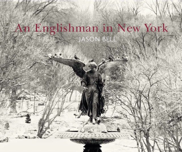 An Englishman in New York, Hardback Book