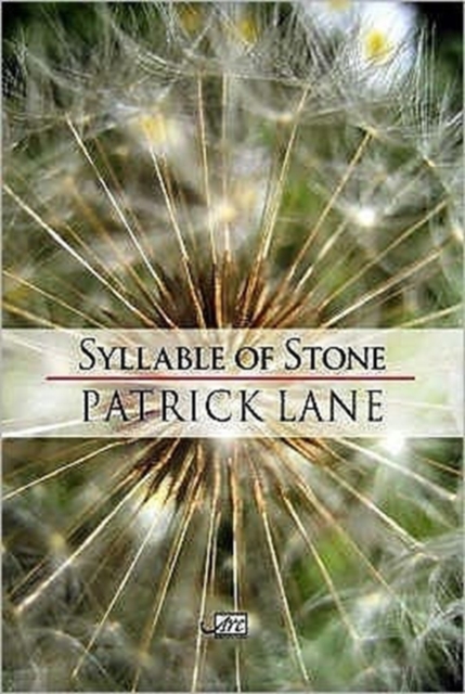 Syllable of Stone, Paperback / softback Book
