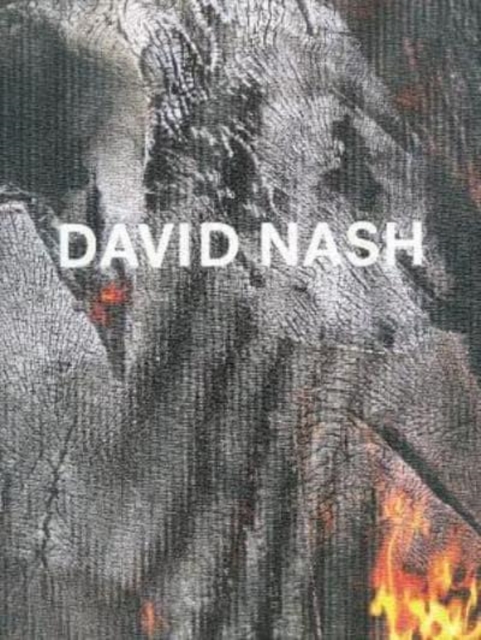 David Nash - Wood, Metal, Pigment, Hardback Book