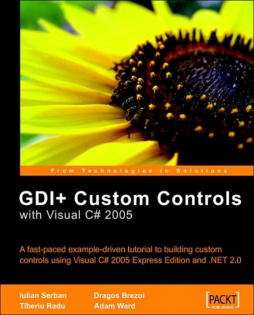 GDI+ Application Custom Controls with Visual C# 2005 : GDI+ Application Custom Controls with Visual C# 2005, Paperback / softback Book