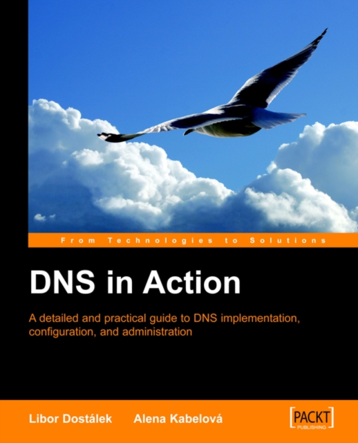 DNS in Action, Electronic book text Book