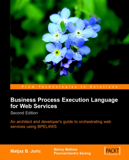 Business Process Execution Language for Web Services 2nd Edition, Electronic book text Book