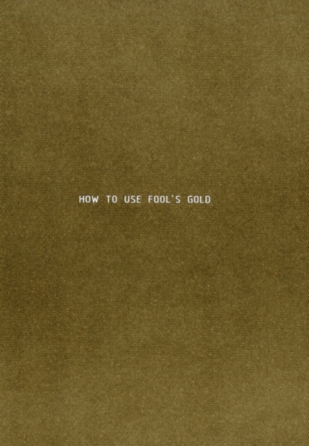 How to Use Fool's Gold : Sarah Browne, Paperback / softback Book