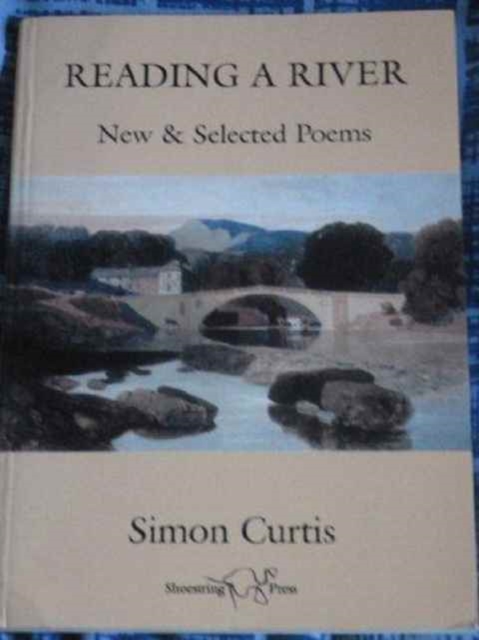 New and Selected Poems, Paperback / softback Book