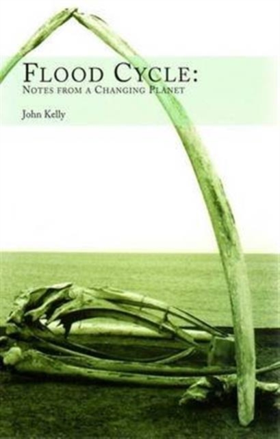 Flood Cycle : Notes from a Changing Planet, Paperback / softback Book