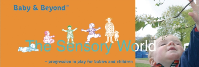 Sensory World : Progression in Play for Babies and Children, Paperback Book