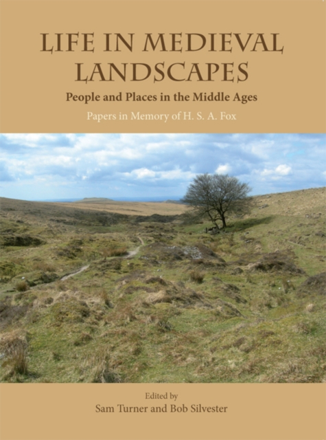Life in Medieval Landscapes : People and Places in the Middle Ages, EPUB eBook