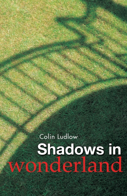 Shadows in Wonderland : A Hospital Odyssey, Paperback / softback Book