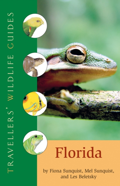 Traveller's Wildlife Guide to Florida, Paperback / softback Book