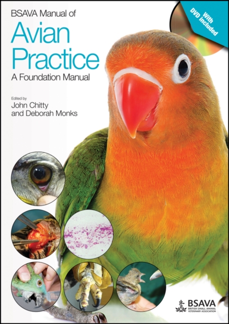 BSAVA Manual of Avian Practice: A Foundation Manual, Paperback / softback Book